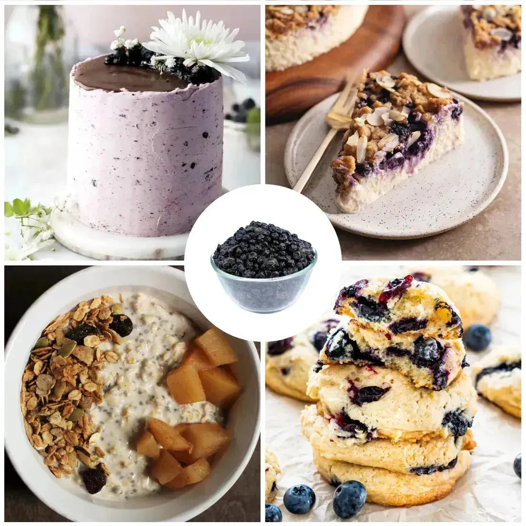 Dried Blueberries - 100 Grams - thebakingtools.com