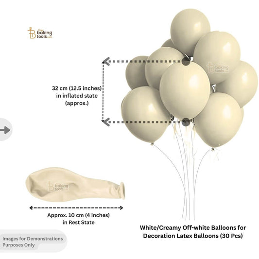 White/cream latex balloons with size measurement.
Inflated state: 32 cm (12.5 inches) 
Rest state: Approximately 10 cm (4 inches)