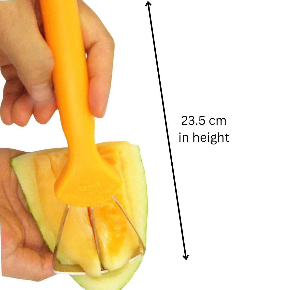 Melon Seeder and Slicer - thebakingtools.com